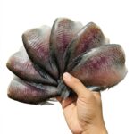 Khô Cá Sặc Bổi Thái 1 Nắng