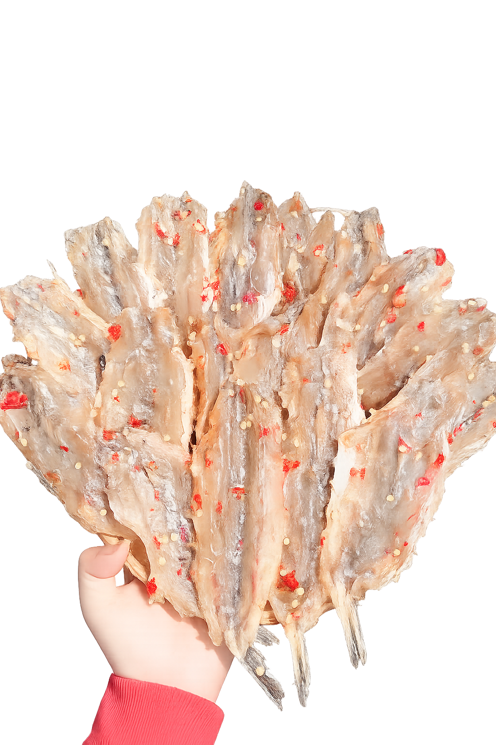 Khô Cá Mối Khô Cá Mối